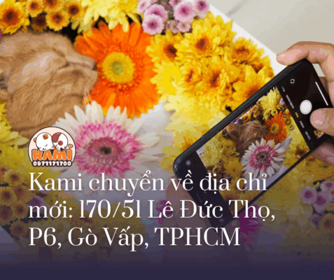 kami chuyen ve 17051 le duc tho